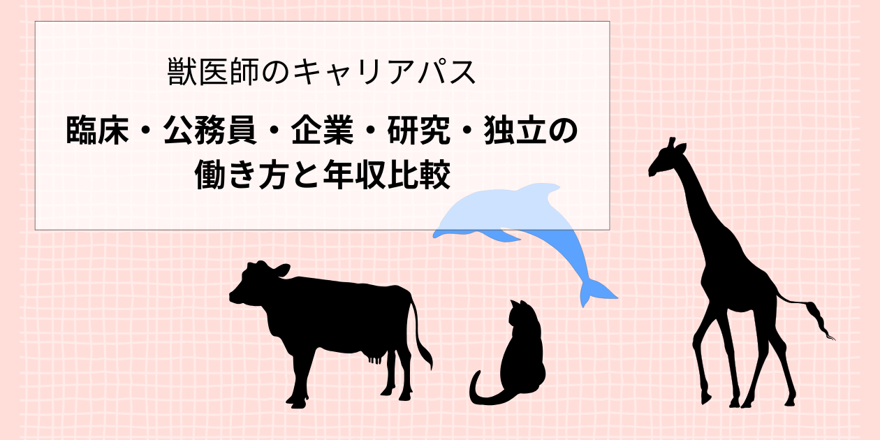 獣医師のキャリアパス完全ガイド｜働き方・必要スキル・年収比較